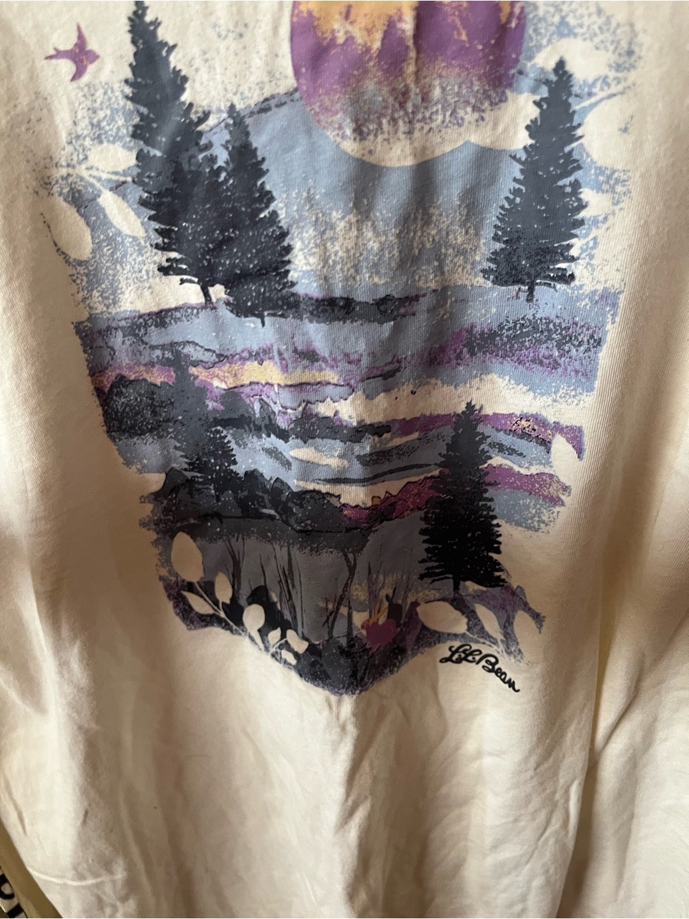 L.L Bean XL gently loved Cream Graphic Sunset Forest Tee - Picture 6 of 16